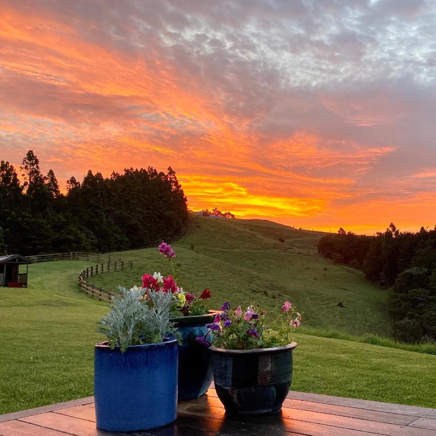 Kauri Glen Bnb Te Arai Buitenkant foto