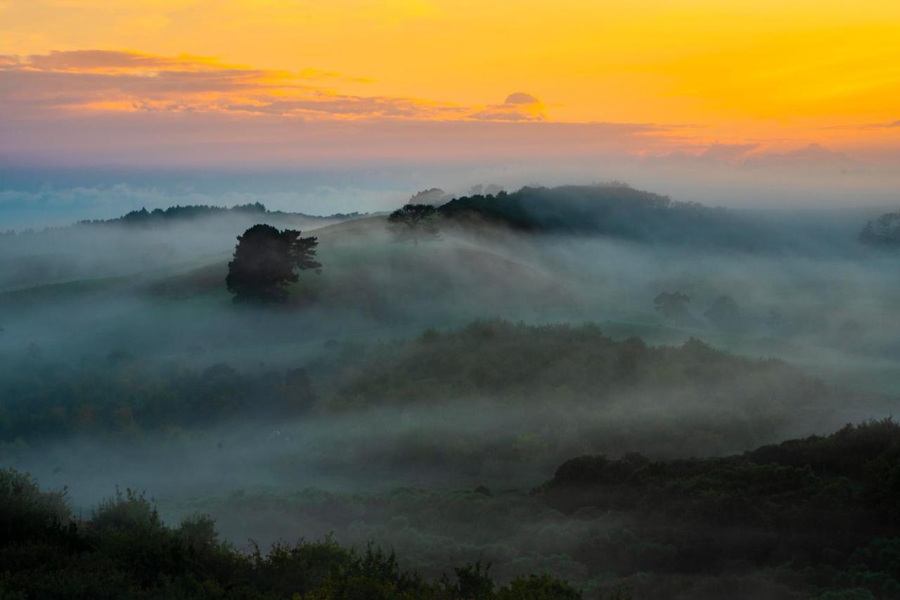 Kauri Glen Bnb Te Arai Buitenkant foto