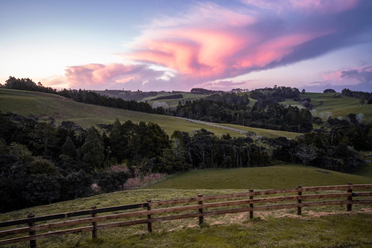 Kauri Glen Bnb Te Arai Buitenkant foto